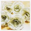 Crafty Workshops at Fay's - Paper Roses